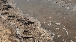 У наримановского поселка разлились сточные воды