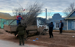 В наримановском селе проводят обрезку деревьев