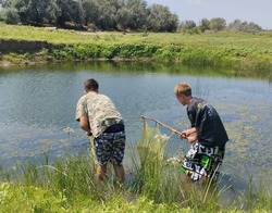 Голубой патруль из Наримановского района наградили дипломом