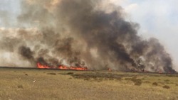В Наримановском районе пожарные ликвидировали возгорания сухой травы и мусора