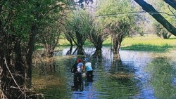 В Наримановском районе «Голубой патруль» спасает рыбную молодь