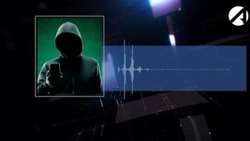 ВЦИОМ: среди интернет-продуктов популярностью пользуются национальные платформы