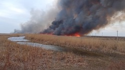 В Наримановском районе снова горит камыш