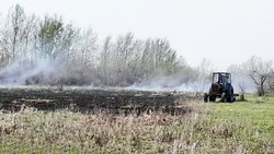 В Новокучергановке к тушению ландшафтного пожара привлекли жителей