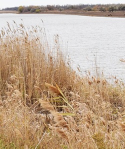 Наримановский ерик заполняется водой