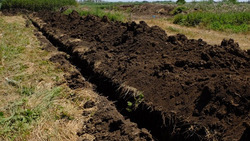 В Наримановском районе сняли более 500 метров плодородной почвы