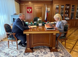 Губернатор и зампред правительства РФ обсудили меры поддержки ветеранов СВО