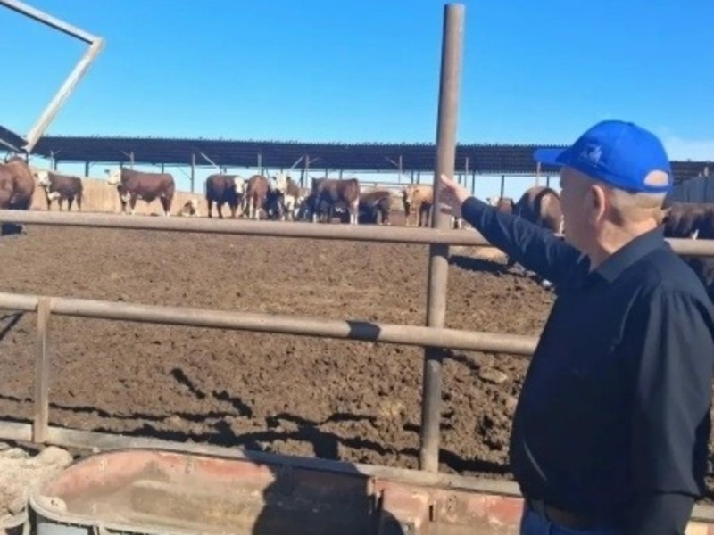 В Наримановском районе провели животноводческий семинар