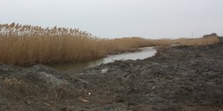 В Наримановский район направят дополнительные деньги на подкачку воды в ильмени