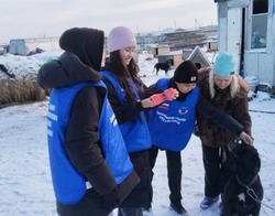 В Наримановском районе школьники помогли животным из приюта «Верный друг»