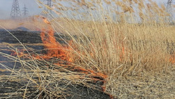 В Наримановском районе огнеборцы тушат возгорания камыша и сухой травы