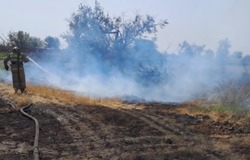 В наримановском районе тушили природные пожары