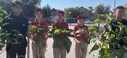 В Наримановском районе проходит акция «Сохраним лес»