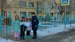В наримановских школах проведена профилактическая беседа «Зимняя дорога»  