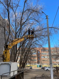 В Нариманове идет опиловка деревьев