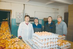 В Астраханской области решается судьба птицефабрики «Степная»