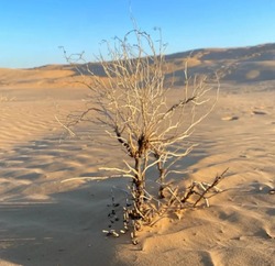 В Наримановском районе проводят мероприятия по борьбе с опустыниванием почвы