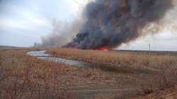 Наримановские спасатели ликвидировали крупный пожар в Биштюбинке