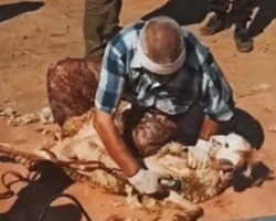 Наримановец занял второе место на конкурсе стригалей