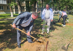 В Нариманове провели акцию «Аллея Памяти»