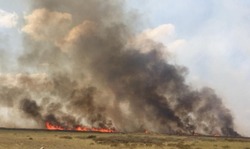 У наримановского поселка произошло два степных пожара