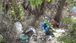 Наримановцы вновь не убирают за собой мусор после пикников