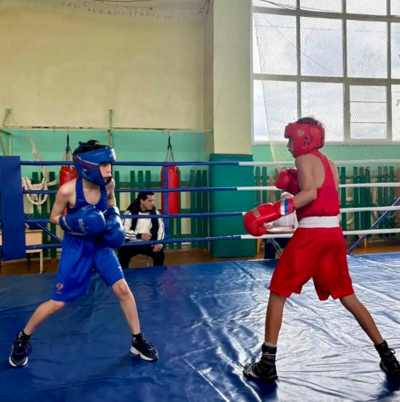 В Наримановском районе стартовал ежегодный турнир по боксу