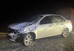 На наримановской трассе произошла авария с участием КРС   