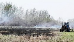 Наримановцам напомнили об опасности разведения костров в лесу